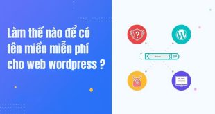 lam-the-nao-de-co-ten-mien-mien-phi-cho-website-wordpress